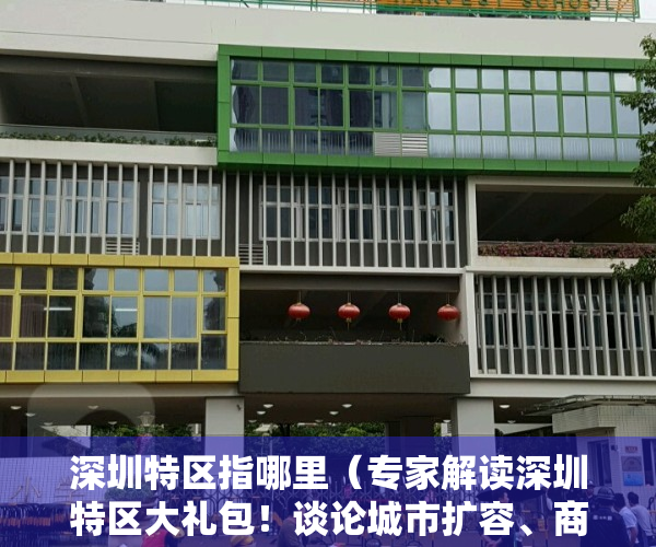 深圳特区指哪里（专家解读深圳特区大礼包！谈论城市扩容、商品房市场）