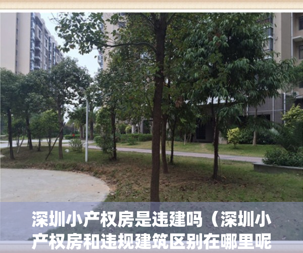 深圳小产权房是违建吗（深圳小产权房和违规建筑区别在哪里呢？）(深圳小产权房违建拆除)