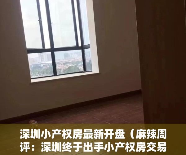 深圳小产权房最新开盘（麻辣周评：深圳终于出手小产权房交易！网友：可以消停几年了…）