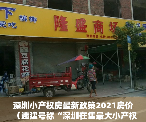 深圳小产权房最新政策2021房价（违建号称“深圳在售最大小产权楼盘” 只要7000元平）