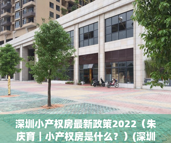 深圳小产权房最新政策2022（朱庆育｜小产权房是什么？）(深圳小产权房最终怎么处理)