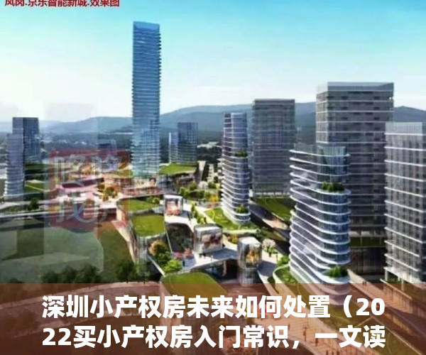 深圳小产权房未来如何处置（2022买小产权房入门常识，一文读懂深圳小产权房市场现状，避坑秘籍！）