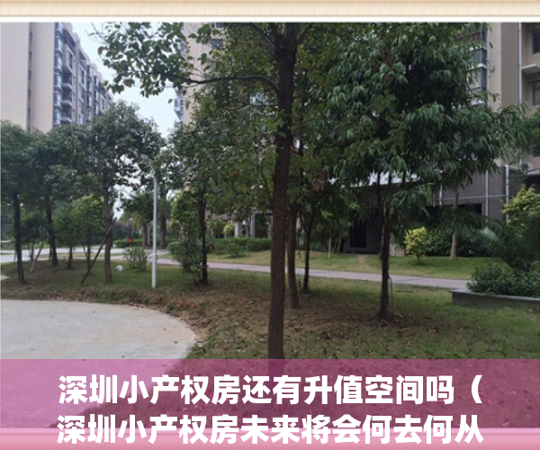 深圳小产权房还有升值空间吗（深圳小产权房未来将会何去何从？）(深圳小产权房2020政策)