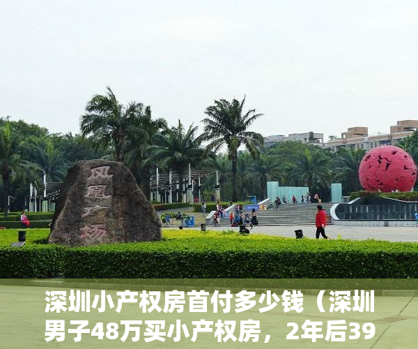 深圳小产权房首付多少钱（深圳男子48万买小产权房，2年后39万卖了，每次想到都心痛！）