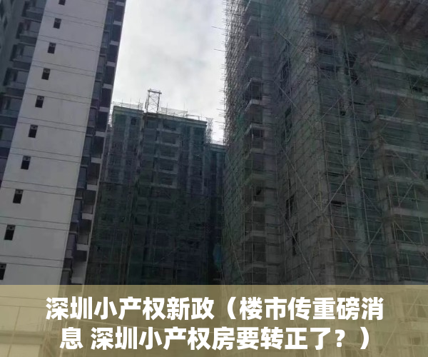 深圳小产权新政（楼市传重磅消息 深圳小产权房要转正了？）