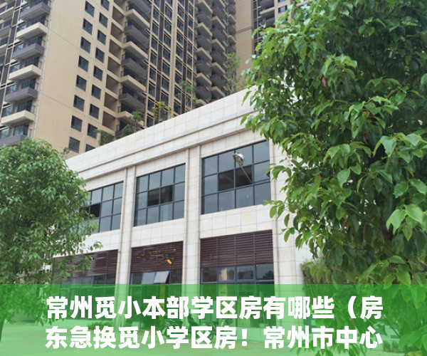 常州觅小本部学区房有哪些（房东急换觅小学区房！常州市中心豪装3房190万出售！送家具家电）