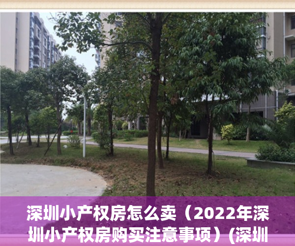 深圳小产权房怎么卖（2022年深圳小产权房购买注意事项）(深圳小产权的交易流程)