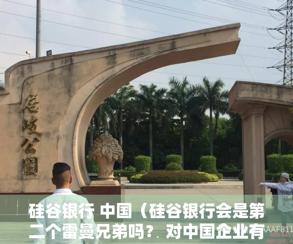 硅谷银行 中国（硅谷银行会是第二个雷曼兄弟吗？ 对中国企业有何影响？）