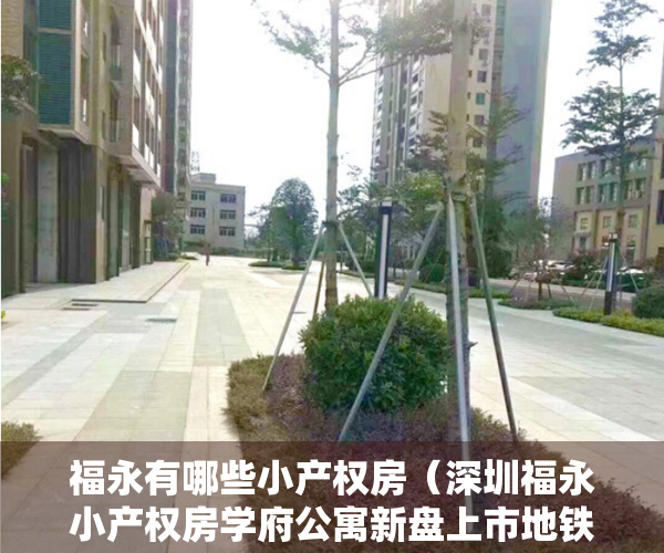 福永有哪些小产权房（深圳福永小产权房学府公寓新盘上市地铁口300米带精装修）