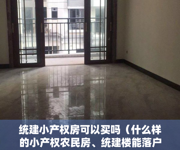 统建小产权房可以买吗（什么样的小产权农民房、统建楼能落户？如何操作？）