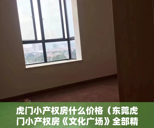 虎门小产权房什么价格（东莞虎门小产权房《文化广场》全部精装修交楼，两房低至238万一套（不含装修费）两房低至238万一套）