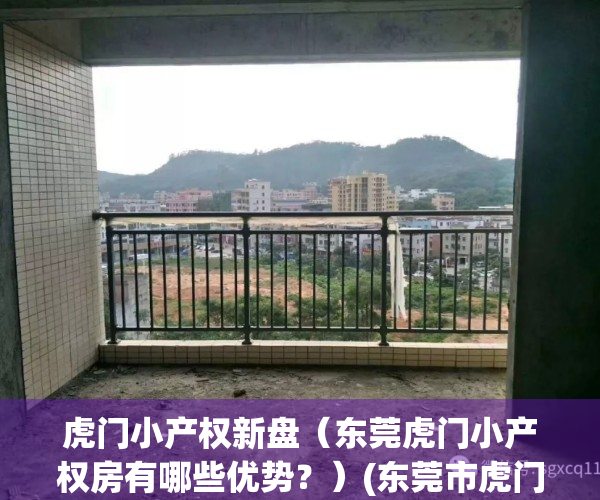 虎门小产权新盘（东莞虎门小产权房有哪些优势？）(东莞市虎门镇小产权房价格)