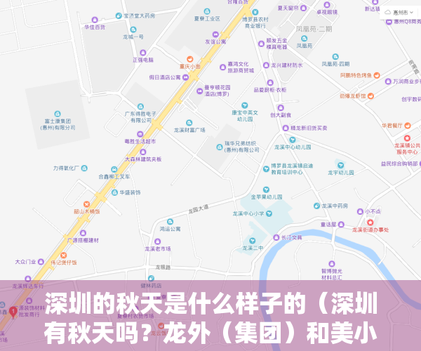 深圳的秋天是什么样子的（深圳有秋天吗？龙外（集团）和美小学学子这样回答）