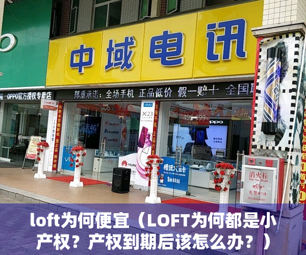 loft为何便宜（LOFT为何都是小产权？产权到期后该怎么办？）