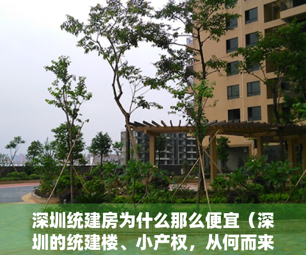 深圳统建房为什么那么便宜（深圳的统建楼、小产权，从何而来为什么会有这么多？答案来了~）