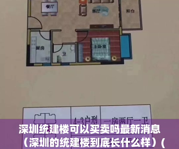 深圳统建楼可以买卖吗最新消息（深圳的统建楼到底长什么样）(深圳统建楼价格如何)