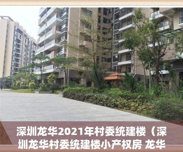 深圳龙华2021年村委统建楼（深圳龙华村委统建楼小产权房 龙华文化广场旁大型村委统建楼 （金苹果）4号线清湖地铁口旁在卖的精装修一手村委统建楼小产权房安全保障）