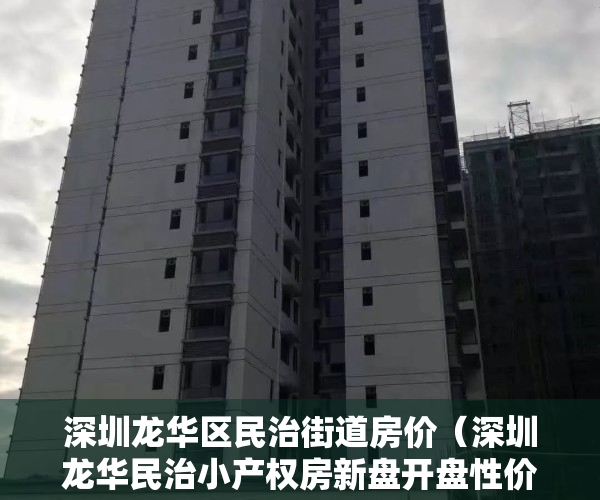 深圳龙华区民治街道房价（深圳龙华民治小产权房新盘开盘性价比高《北站逸园》白石龙地铁零距离 中建旧改 外国语学校0距离 精装修电梯现房 两证一书，地皮单）