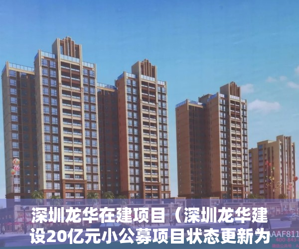 深圳龙华在建项目（深圳龙华建设20亿元小公募项目状态更新为“已反馈”）