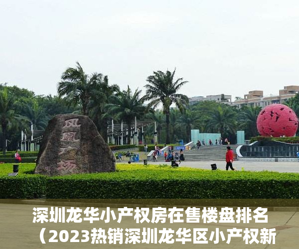 深圳龙华小产权房在售楼盘排名（2023热销深圳龙华区小产权新房排行）