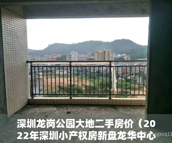 深圳龙岗公园大地二手房价（2022年深圳小产权房新盘龙华中心区公园大地 05户型）