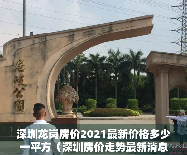 深圳龙岗房价2021最新价格多少一平方（深圳房价走势最新消息 龙岗在售楼盘推荐！）