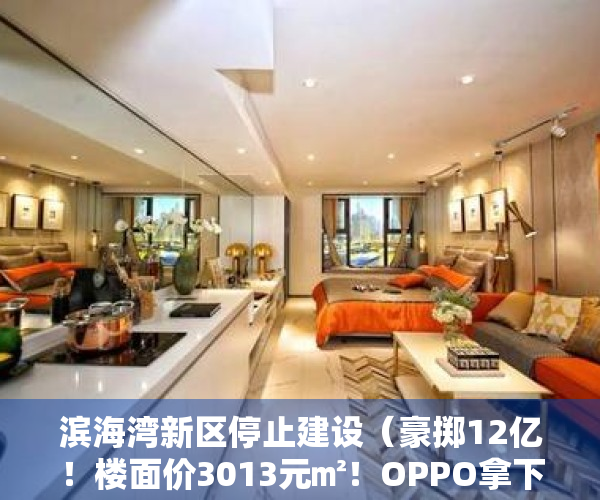 滨海湾新区停止建设（豪掷12亿！楼面价3013元㎡！OPPO拿下滨海湾超13万平商住地）