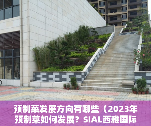 预制菜发展方向有哪些（2023年预制菜如何发展？SIAL西雅国际食品展（深圳）为您揭晓答案）