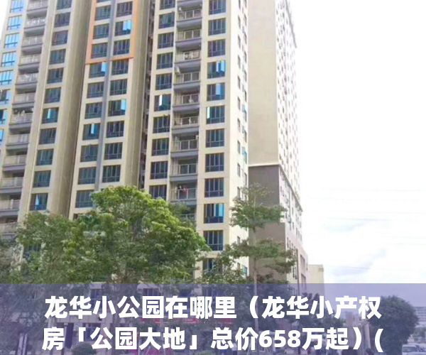 龙华小公园在哪里（龙华小产权房「公园大地」总价658万起）(龙华所有公园)