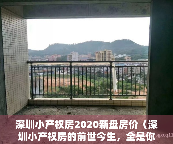 深圳小产权房2020新盘房价（深圳小产权房的前世今生，全是你想知道的故事）