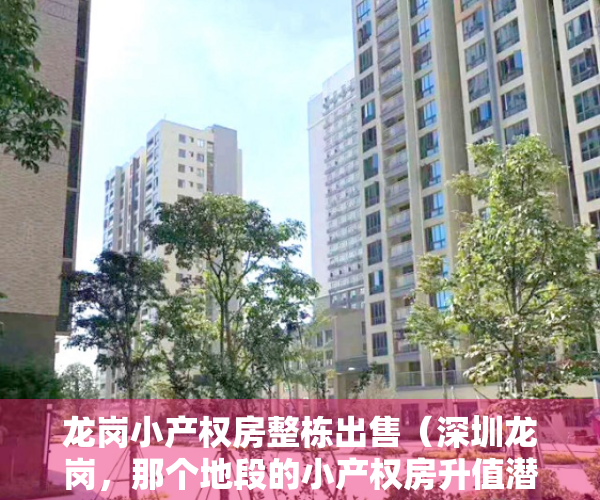 龙岗小产权房整栋出售（深圳龙岗，那个地段的小产权房升值潜力最大？最有保障？）