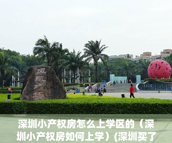 深圳小产权房怎么上学区的（深圳小产权房如何上学）(深圳买了小产权房怎么申请小学)