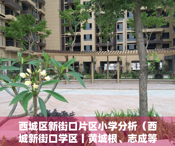 西城区新街口片区小学分析（西城新街口学区丨黄城根、志成等4所小学小升初途径有哪些？对应初中是？）