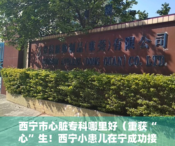 西宁市心脏专科哪里好（重获“心”生！西宁小患儿在宁成功接受先心病手术救助）