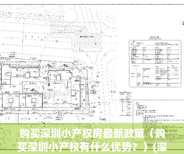 购买深圳小产权房最新政策（购买深圳小产权有什么优势？）(深圳购买小产权房需要什么条件)