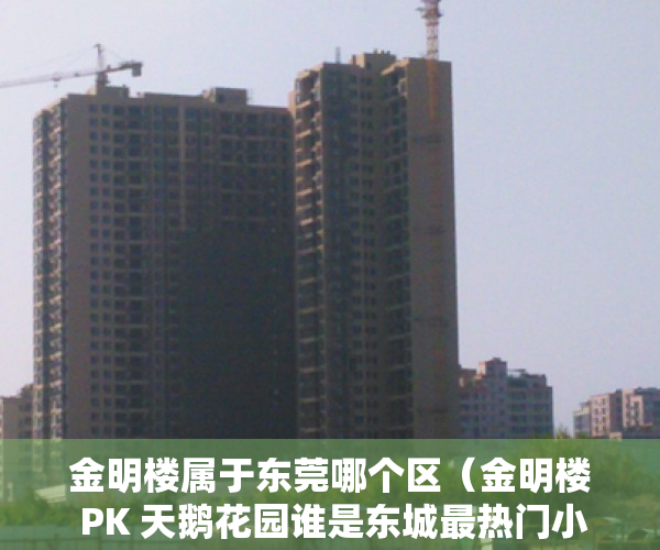 金明楼属于东莞哪个区（金明楼 PK 天鹅花园谁是东城最热门小区？）