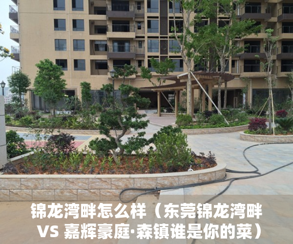 锦龙湾畔怎么样（东莞锦龙湾畔 VS 嘉辉豪庭·森镇谁是你的菜）