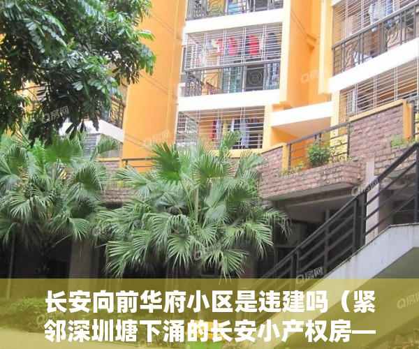 长安向前华府小区是违建吗（紧邻深圳塘下涌的长安小产权房——向前华府）