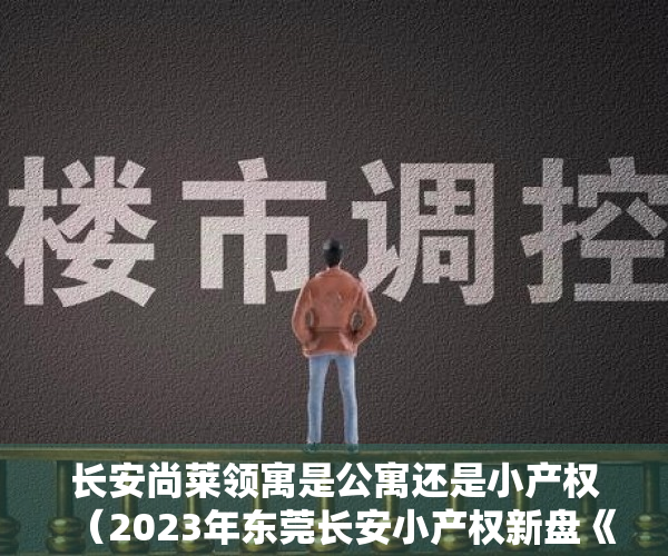 长安尚莱领寓是公寓还是小产权（2023年东莞长安小产权新盘《尚莱领寓》现楼交付，刚需居家、投资！能贷款的小产权房近地铁的小产权集资房地铁口 没有社保怎么买房？）