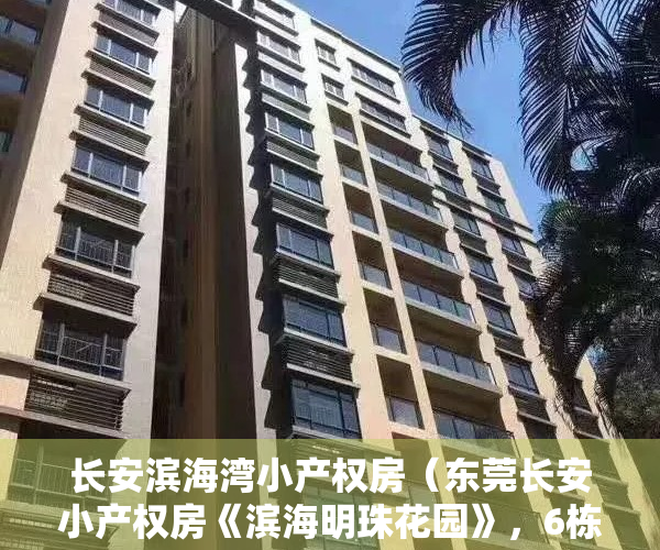 长安滨海湾小产权房（东莞长安小产权房《滨海明珠花园》，6栋大型社区，天燃气入户，无条件分期10年）