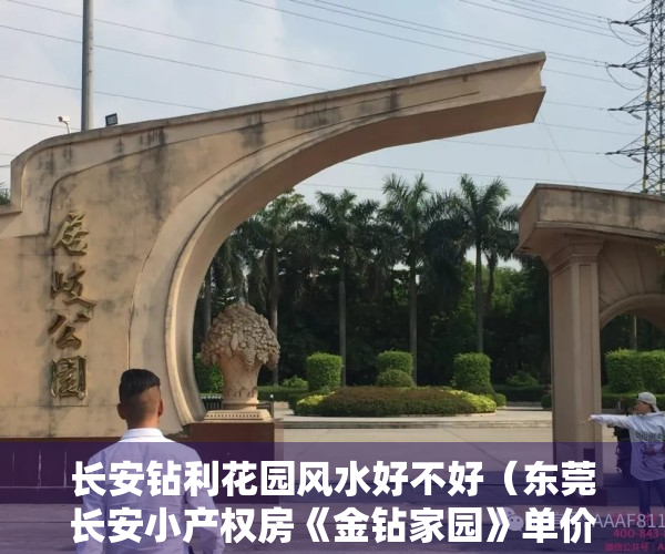 长安钻利花园风水好不好（东莞长安小产权房《金钻家园》单价3880元送精装《莲峰家园》性价比超高）