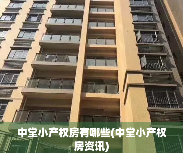 中堂小产权房有哪些(中堂小产权房资讯)