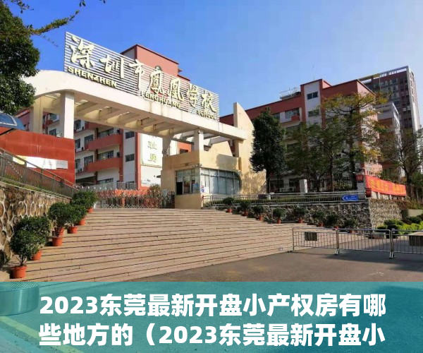 2023东莞最新开盘小产权房有哪些地方的（2023东莞最新开盘小产权房有哪些地方的）