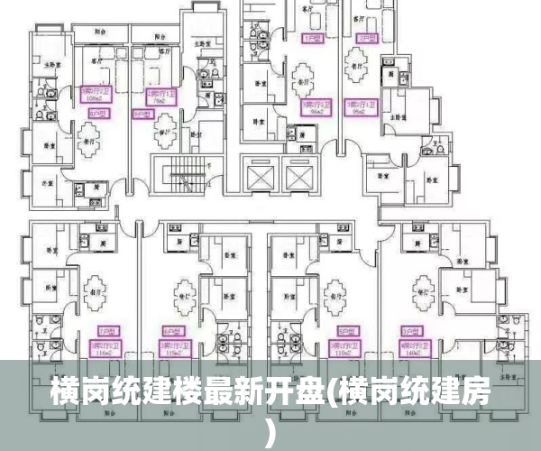 横岗统建楼最新开盘(横岗统建房)