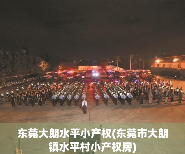 东莞大朗水平小产权(东莞市大朗镇水平村小产权房)