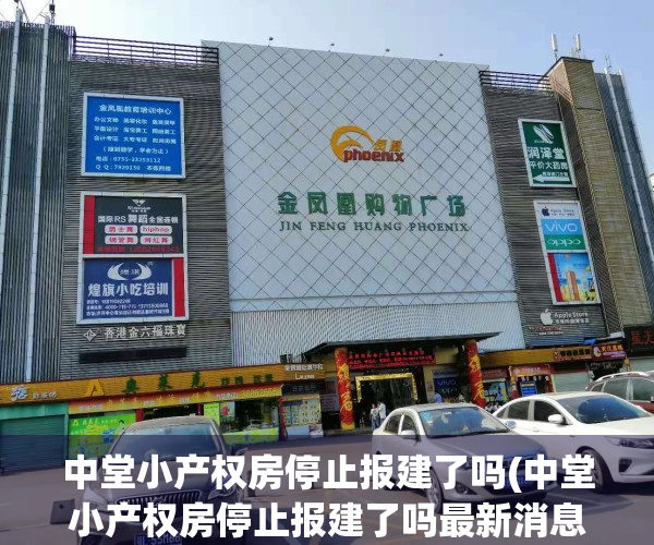 中堂小产权房停止报建了吗(中堂小产权房停止报建了吗最新消息)