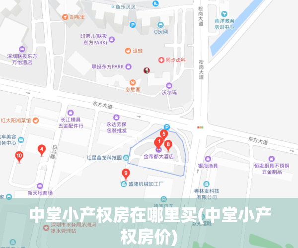 中堂小产权房在哪里买(中堂小产权房价)