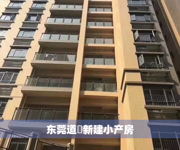 东莞道滘新建小产房