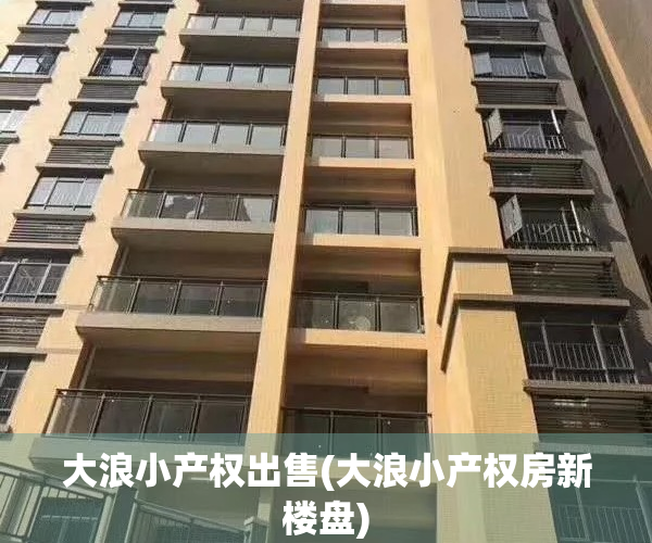 大浪小产权出售(大浪小产权房新楼盘)