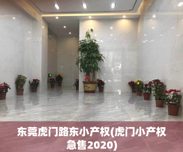 东莞虎门路东小产权(虎门小产权急售2020)